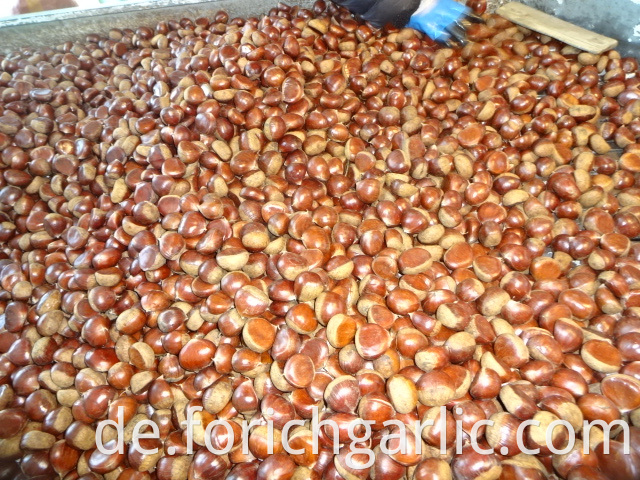 Best Quality New Crop Chestnut